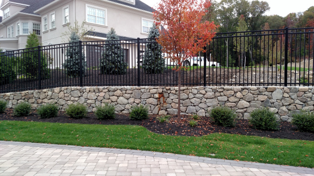 Elegant t Iron Fence